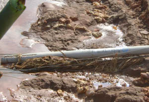 AB娱乐(中国游)有限公司官网