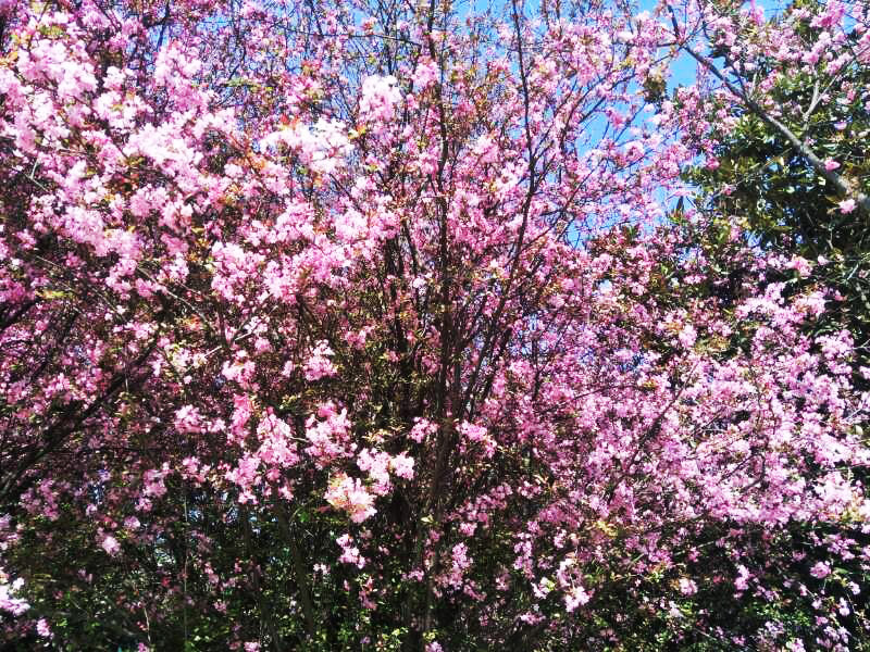 AB娱乐(中国游)有限公司官网