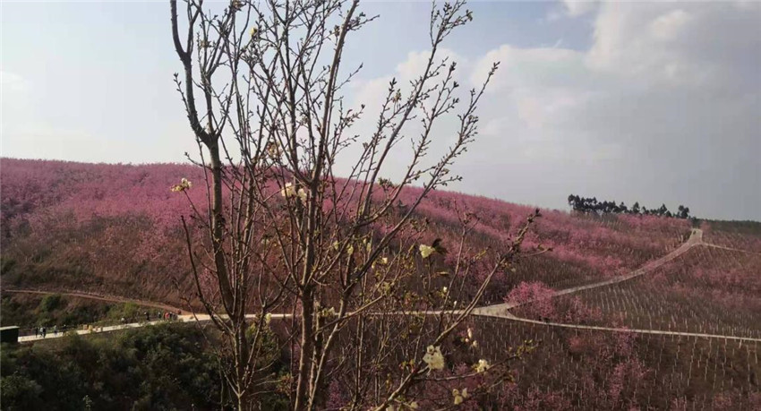 AB娱乐(中国游)有限公司官网