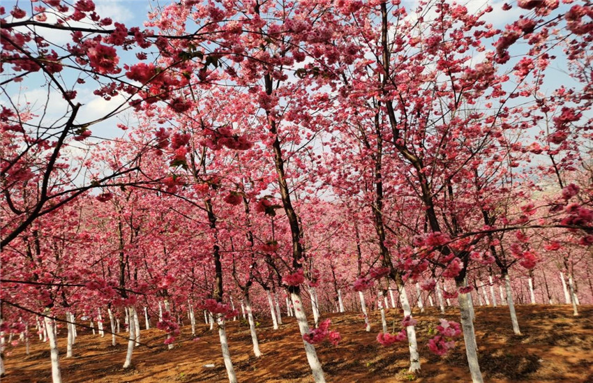 AB娱乐(中国游)有限公司官网